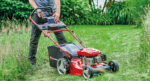 Lawnmower Petrol - Image 2